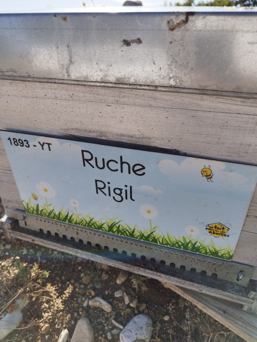 La ruche Rigil