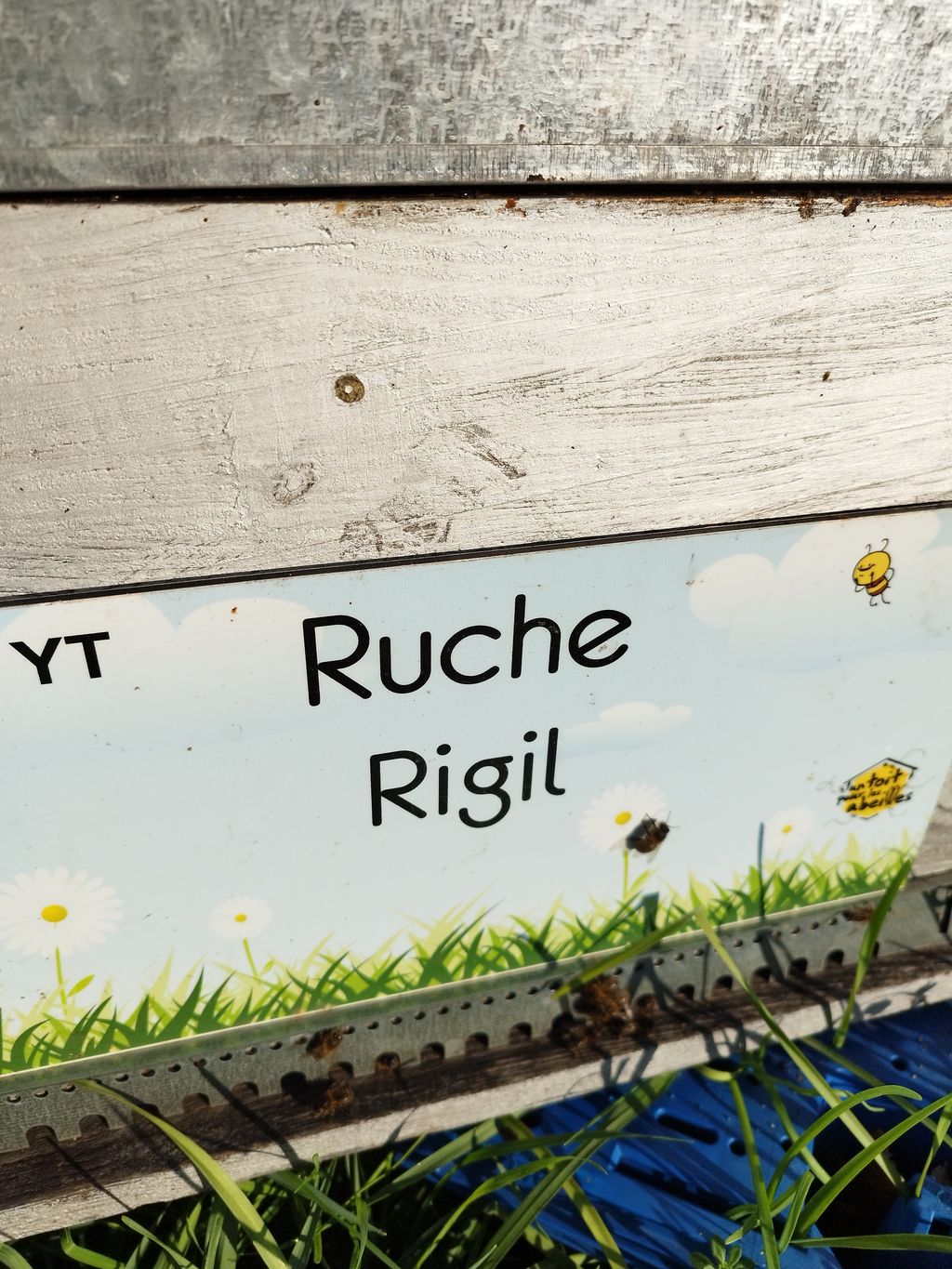 La ruche Rigil