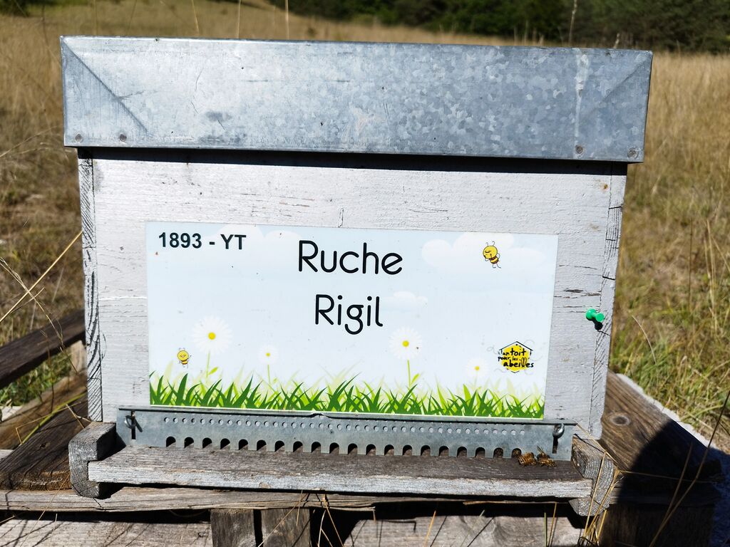 La ruche Rigil
