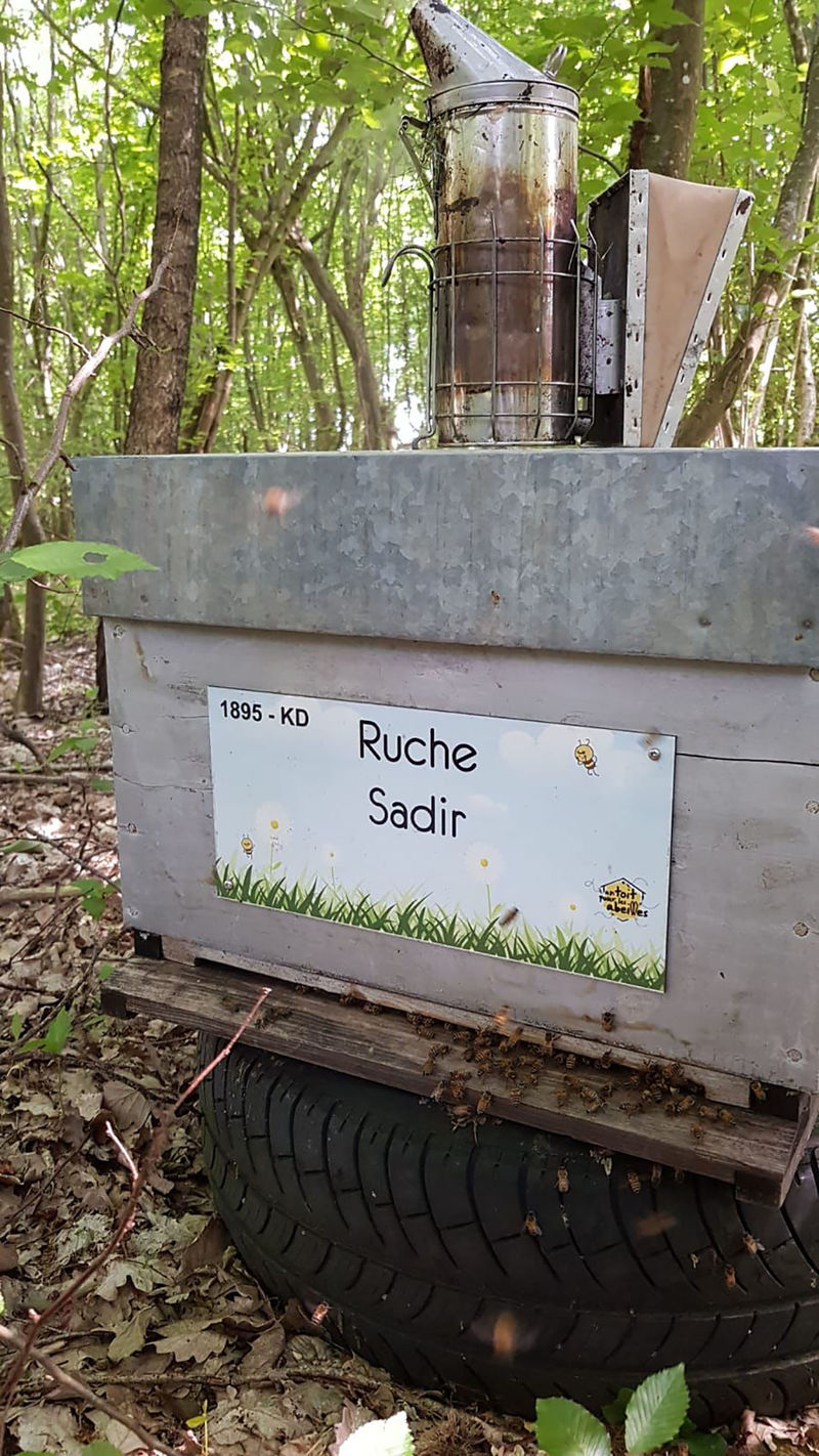 La ruche Sadir