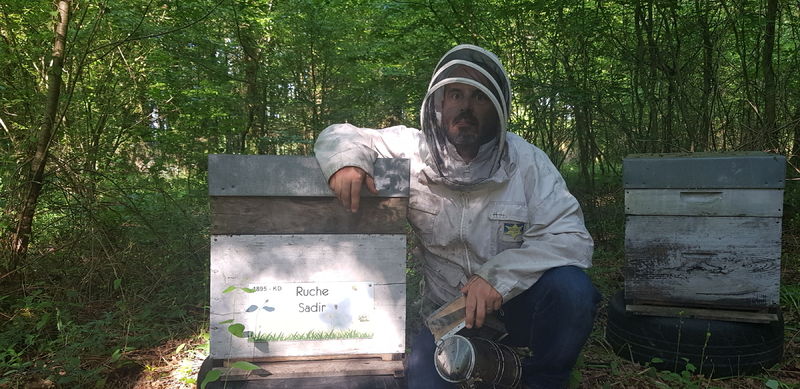 La ruche Sadir