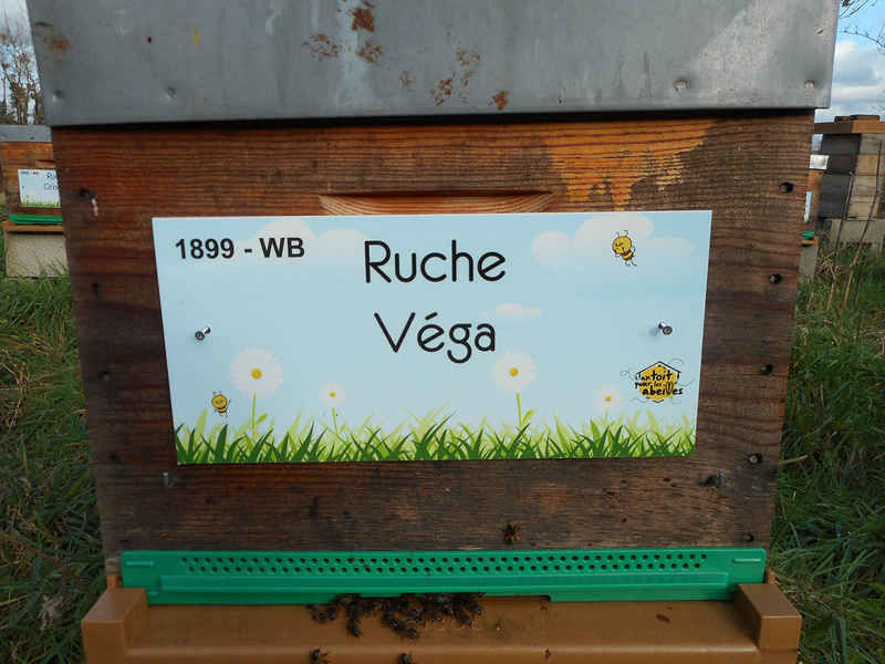 La ruche