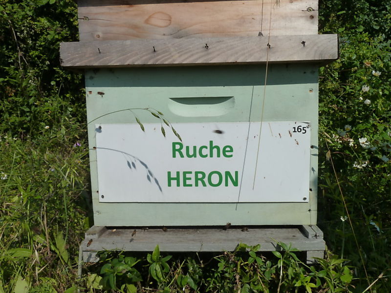 La ruche Héron