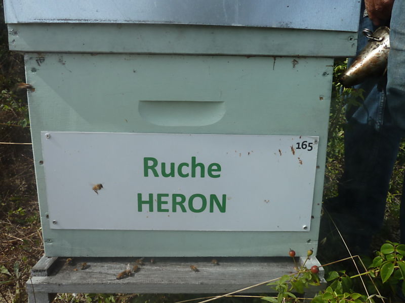 La ruche Héron
