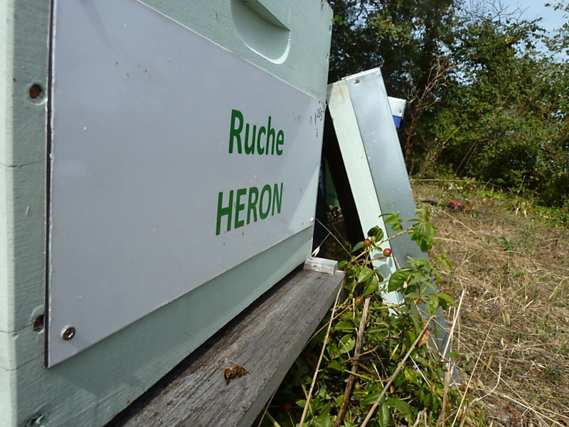 La ruche Héron