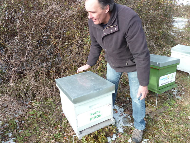La ruche Héron