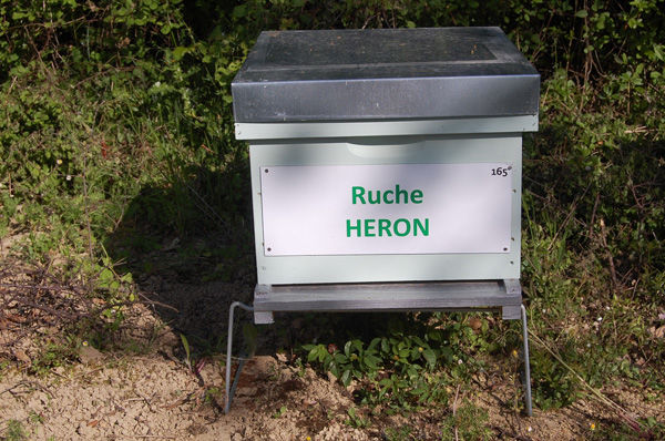 La ruche Héron