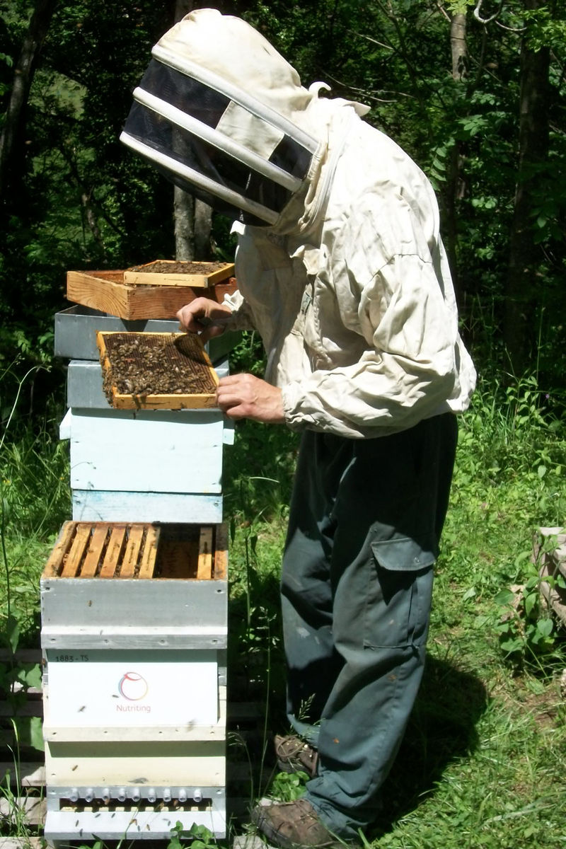 La ruche Nutriting