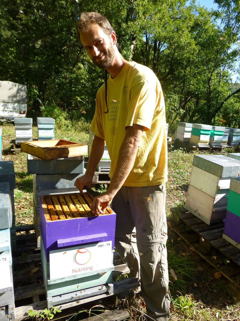 La ruche Nutriting