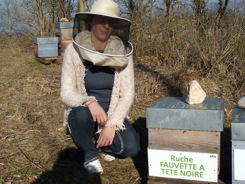 La ruche Fauvette a tête noire