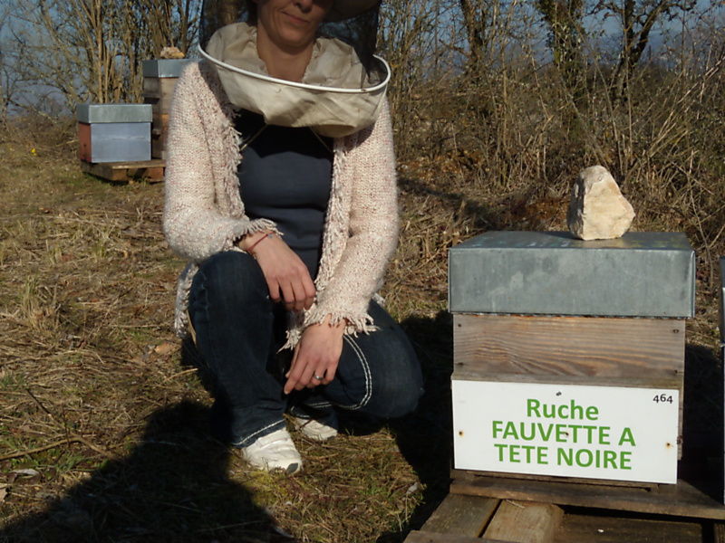 La ruche Fauvette a tête noire