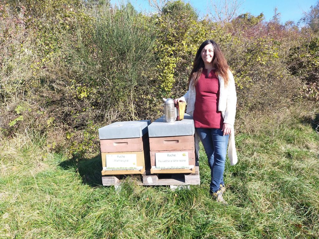 La ruche Fauvette a tête noire