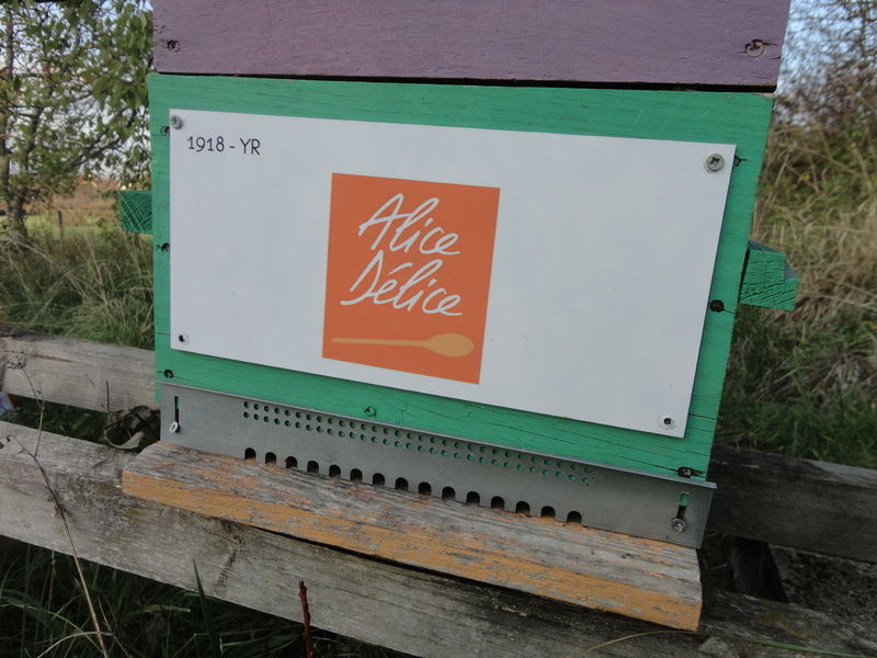 La ruche Alice Délice Dijon