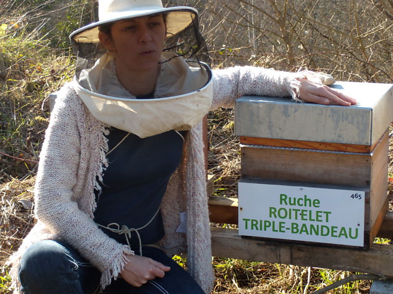 La ruche Roitelet triple-bandeau