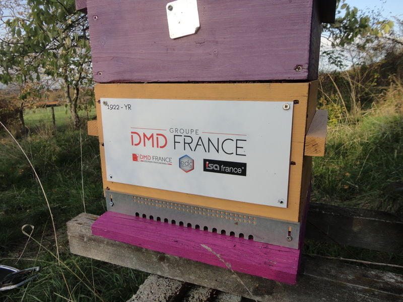 La ruche Groupe dmd france