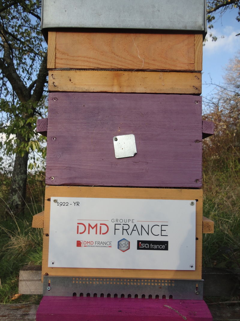 La ruche Groupe dmd france