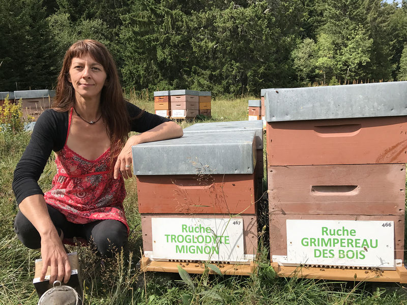 La ruche Grimpereau des bois