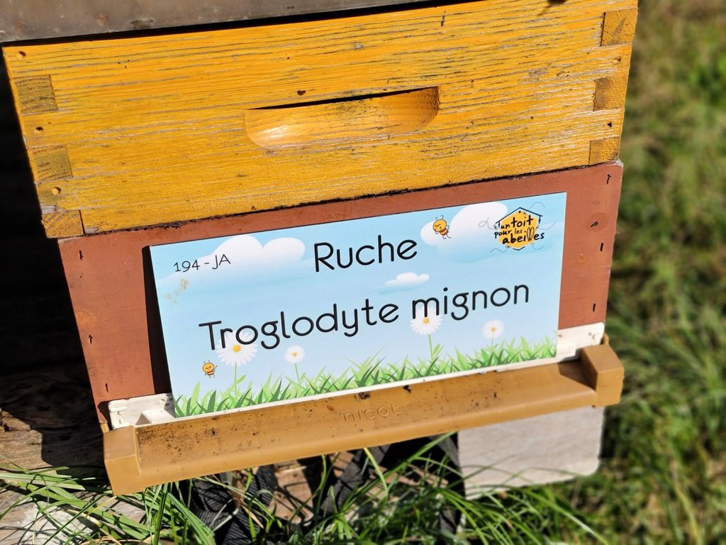 La ruche Troglodyte mignon