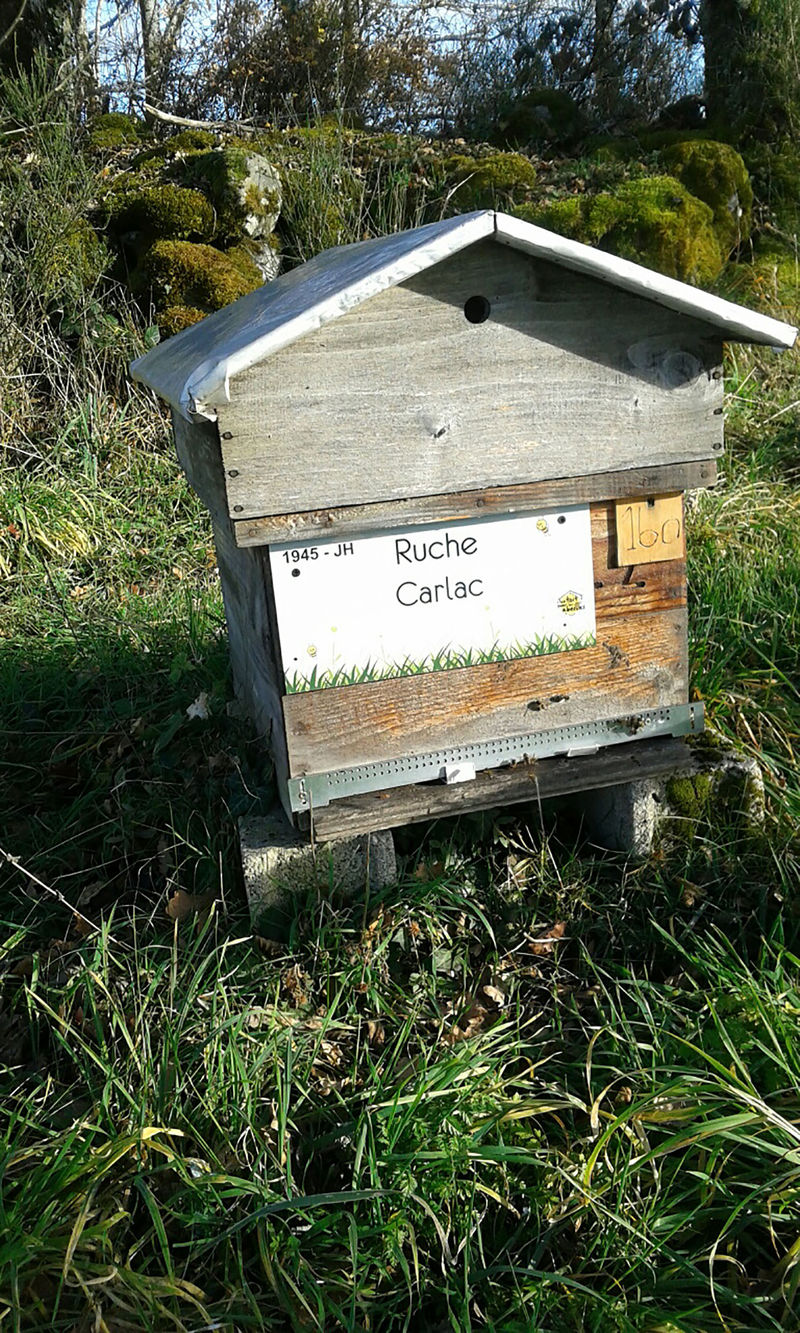 La ruche Carlac