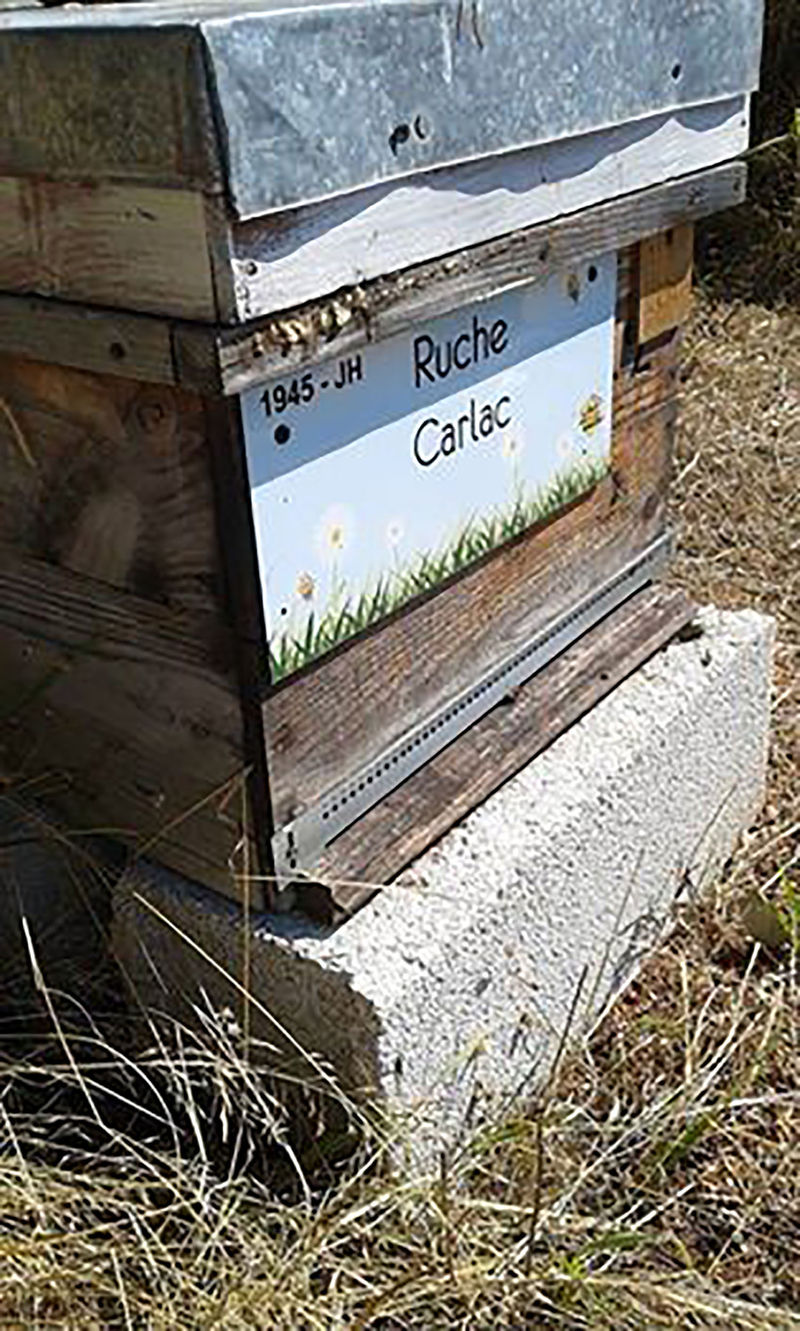 La ruche Carlac