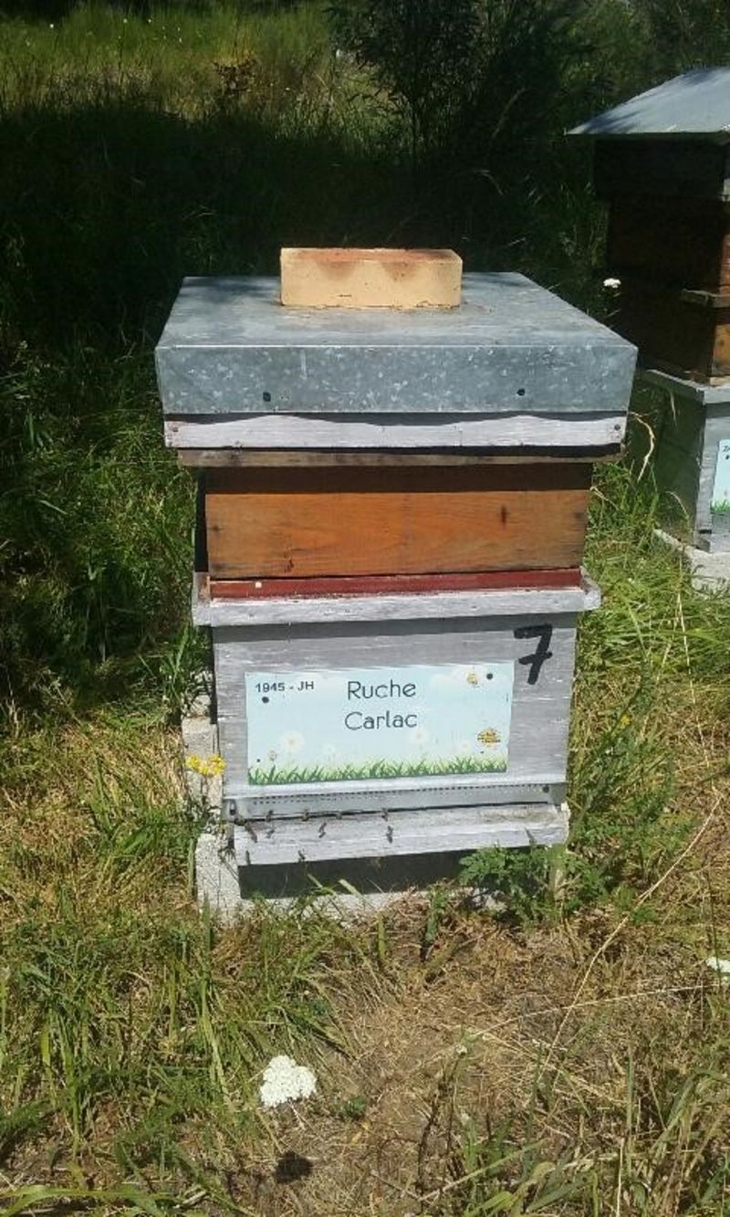 La ruche Carlac