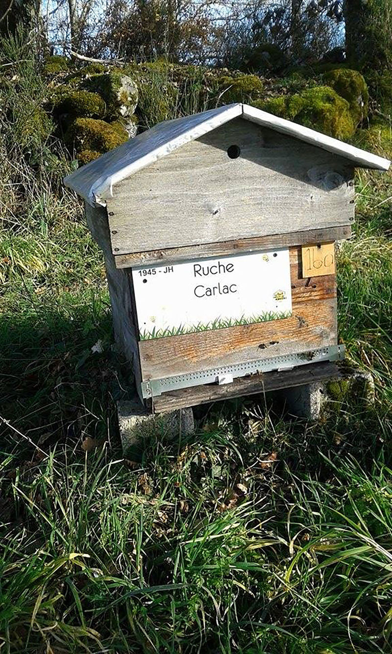 La ruche Carlac
