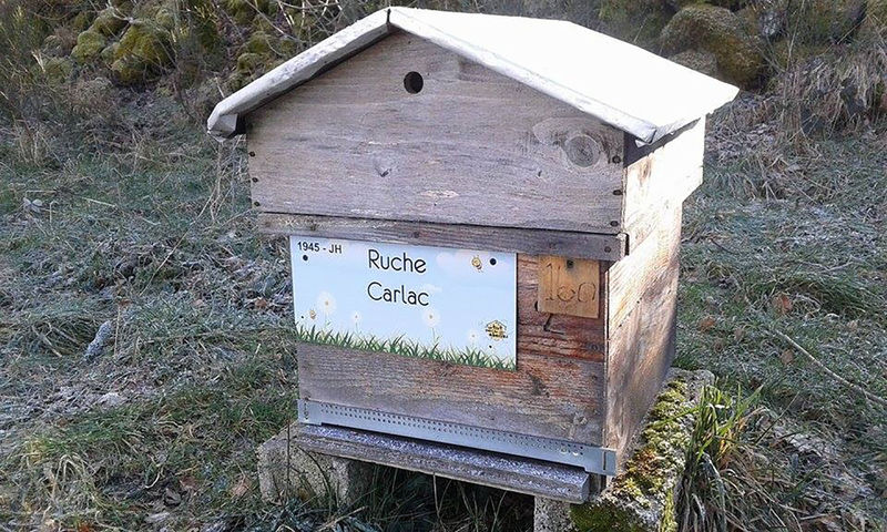 La ruche Carlac