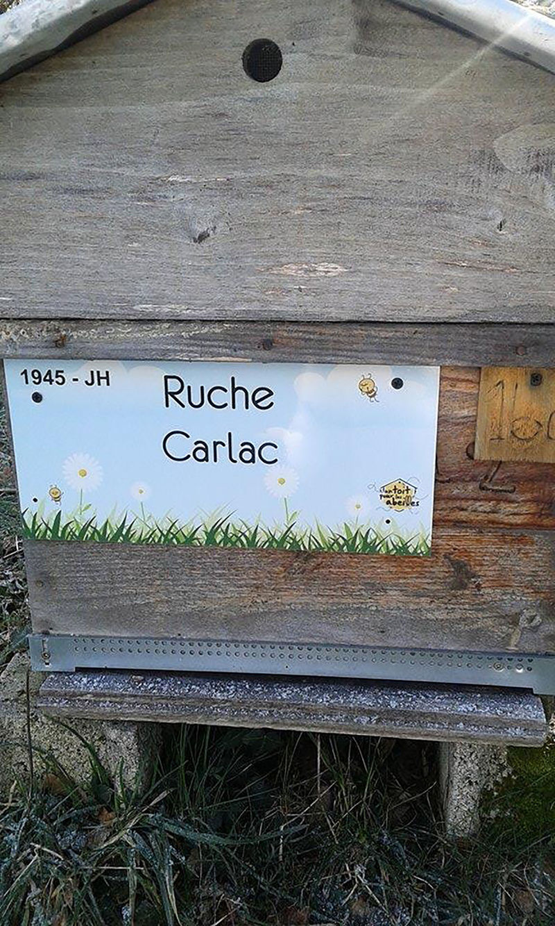 La ruche Carlac