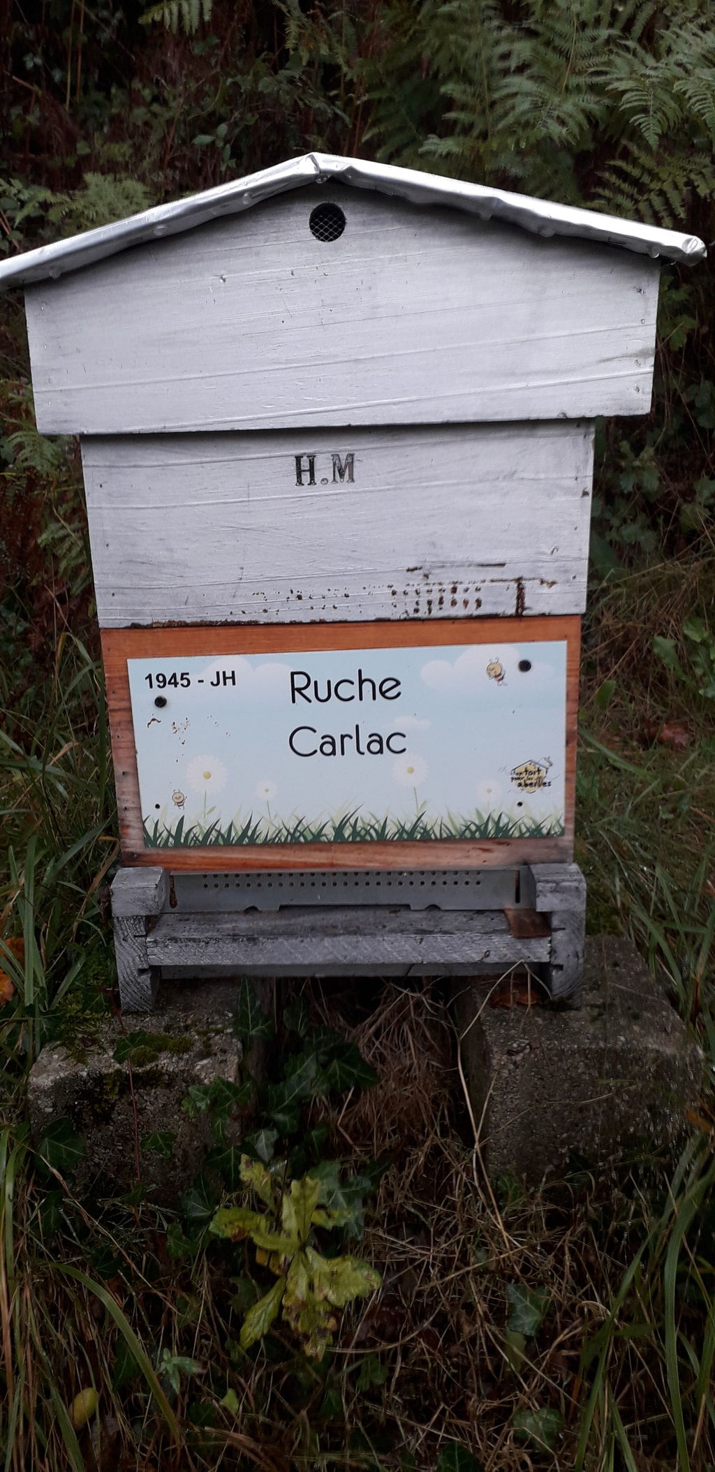 La ruche Carlac