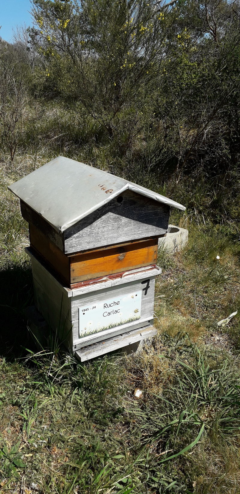 La ruche Carlac