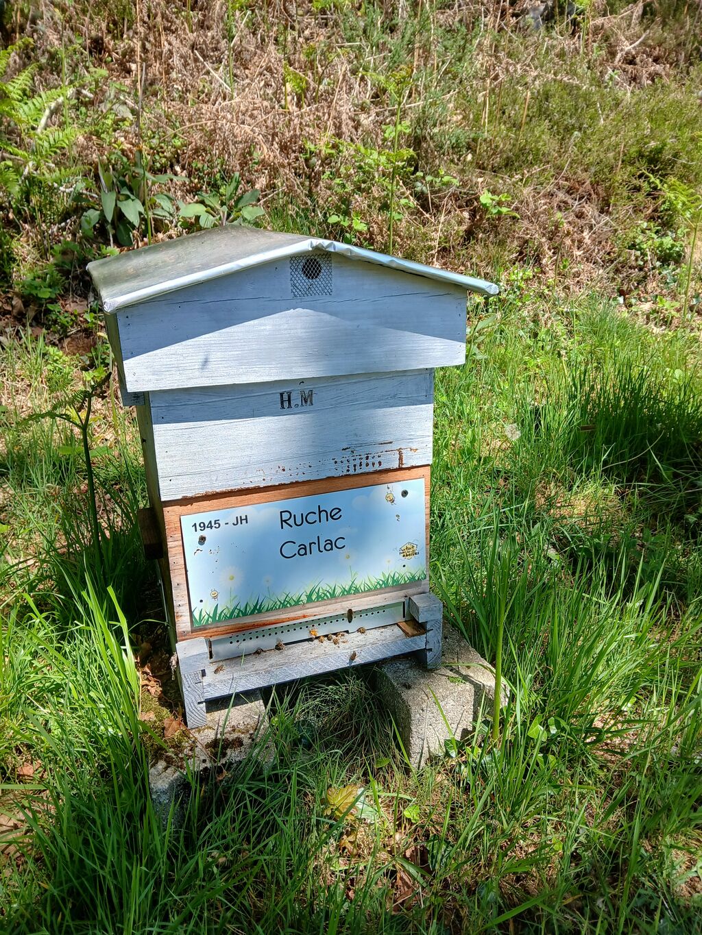 La ruche Carlac