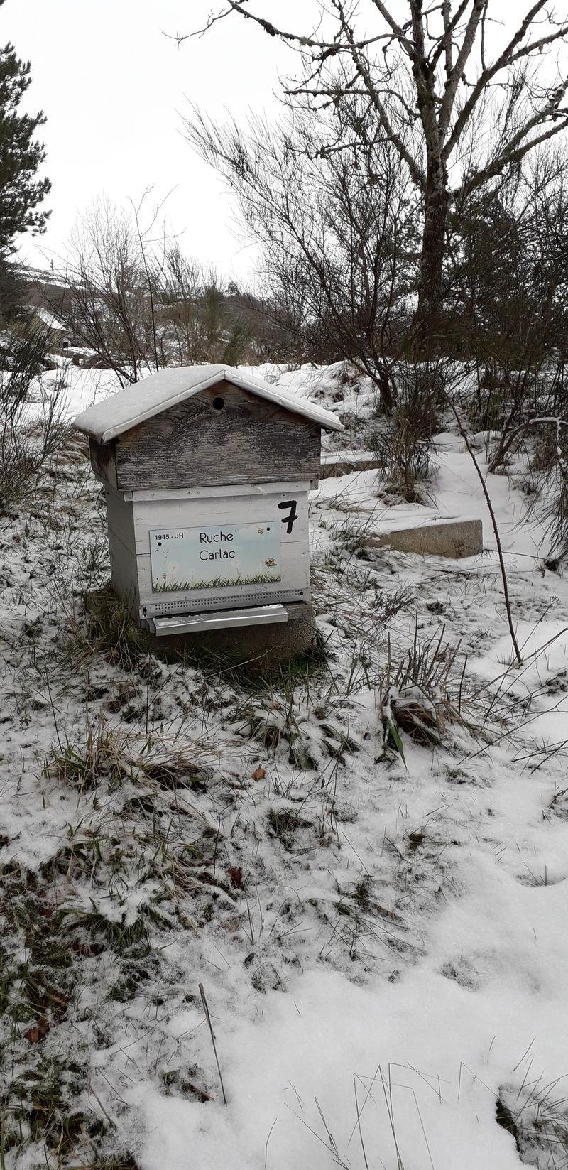 La ruche Carlac