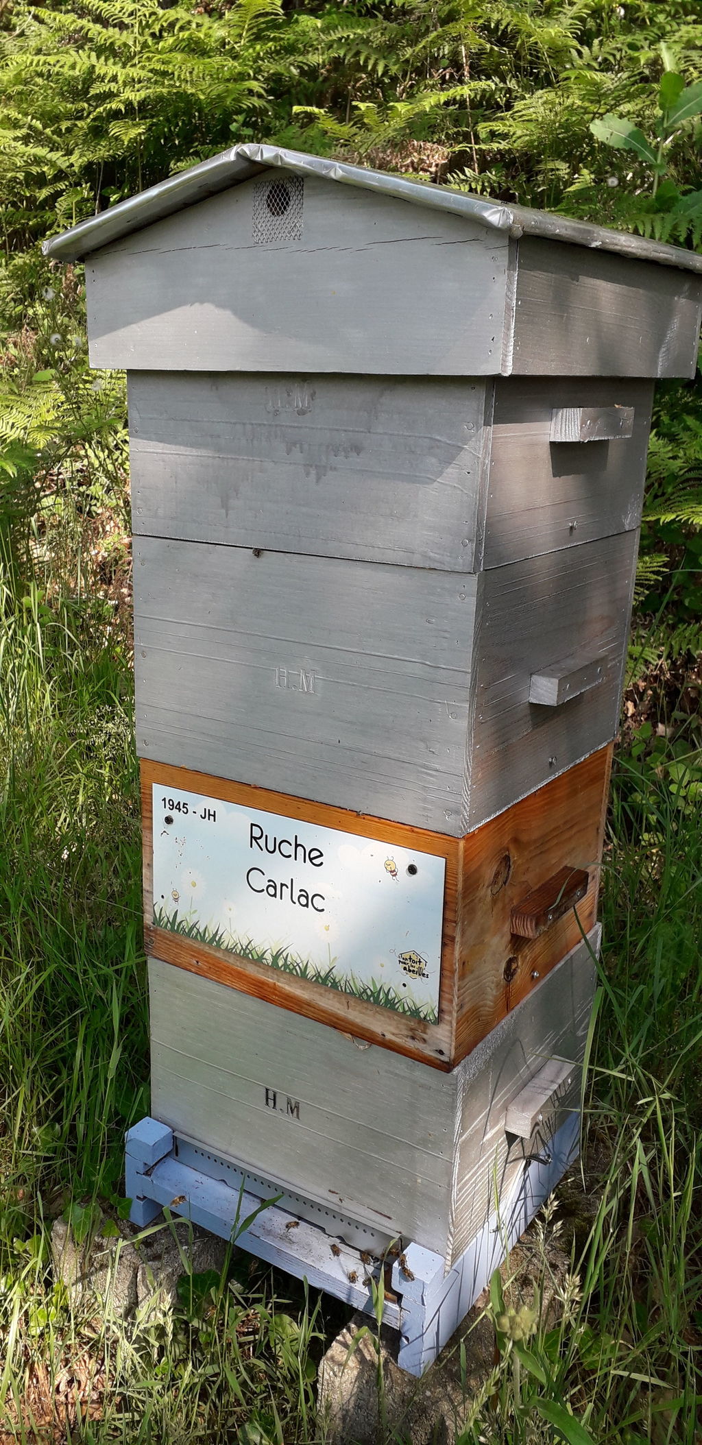La ruche Carlac