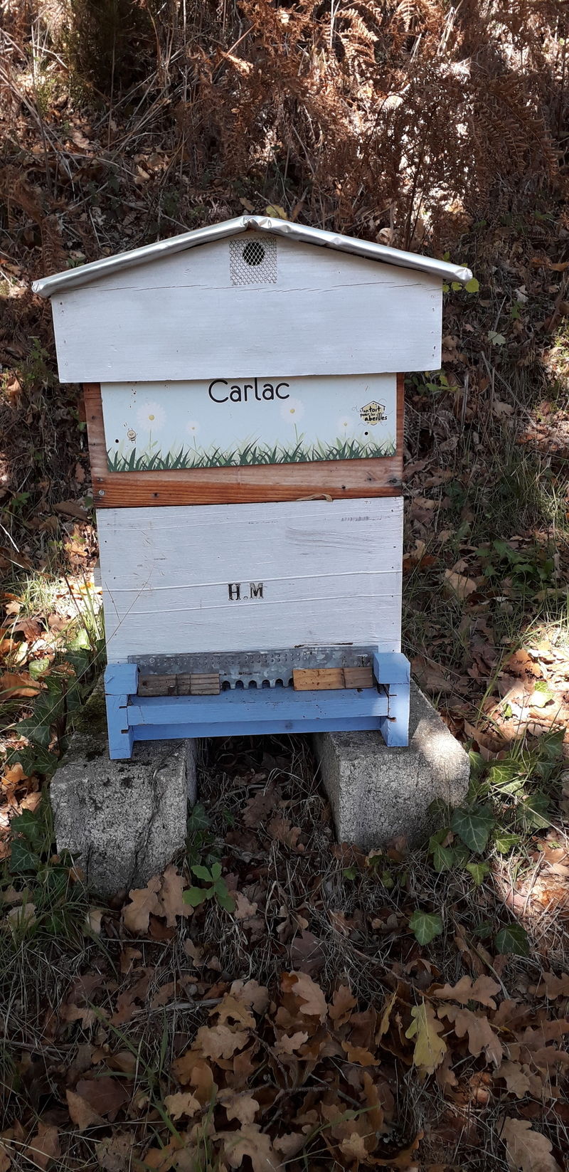La ruche Carlac