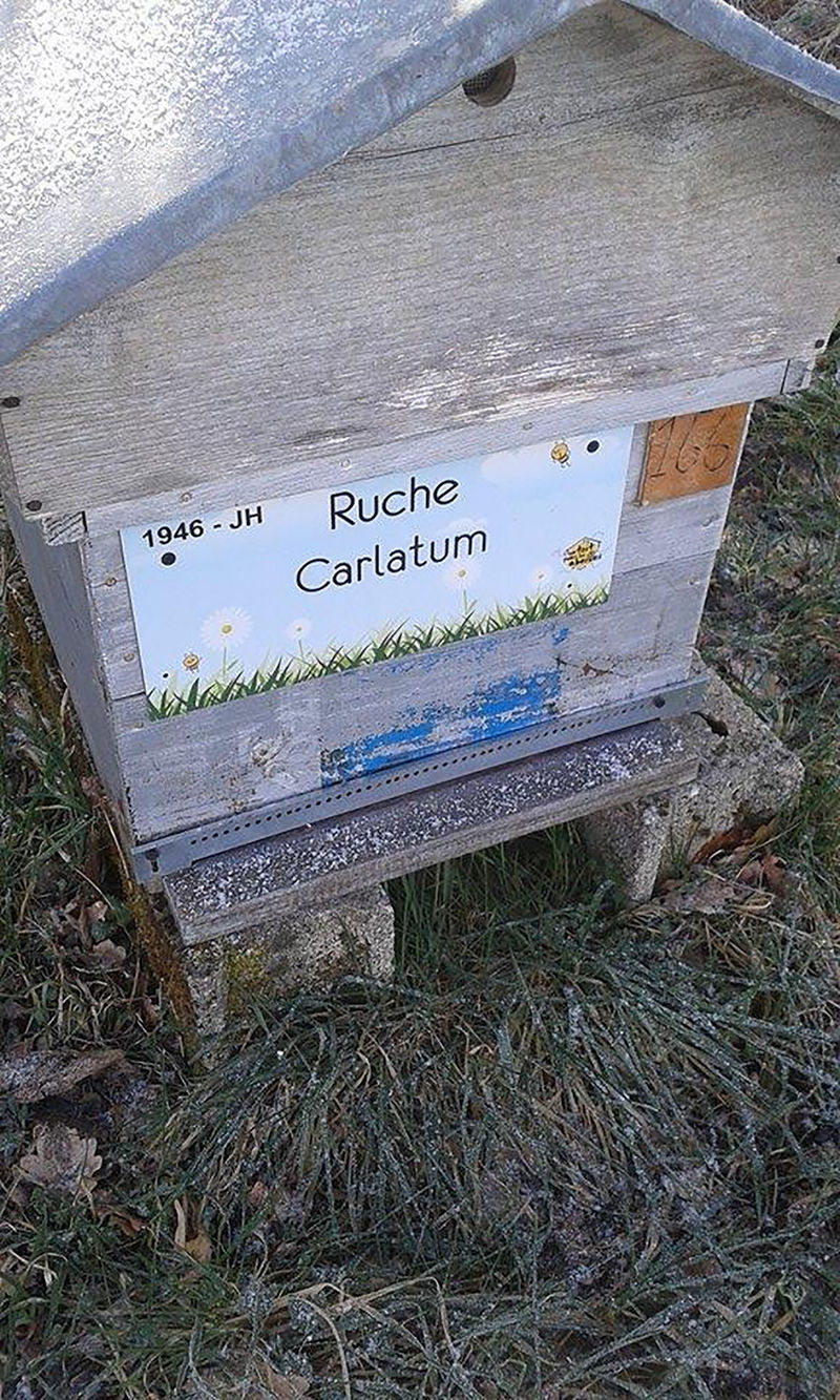 La ruche Carlatum