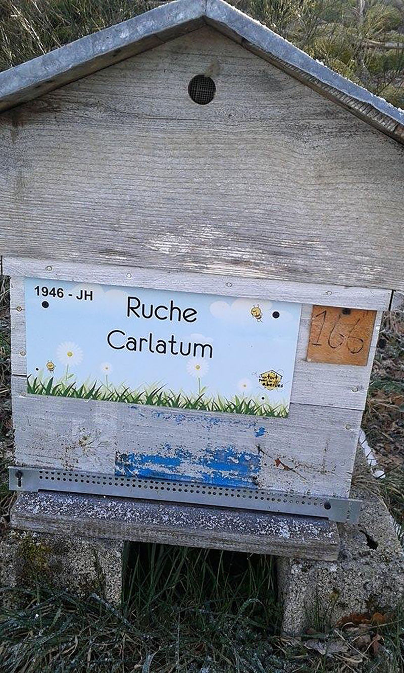 La ruche Carlatum