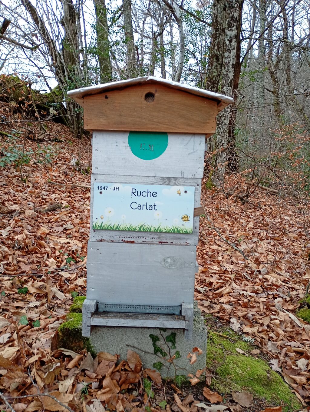 La ruche Carllat