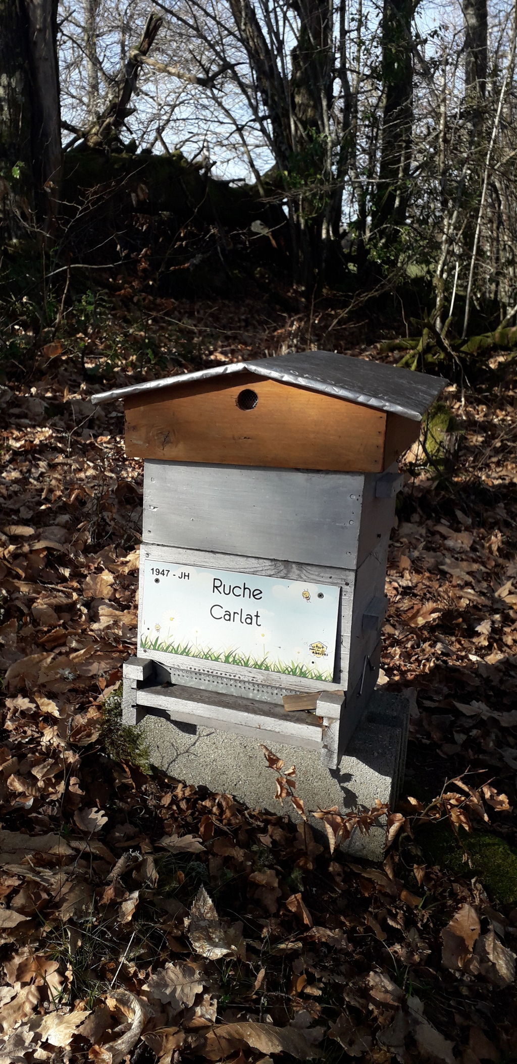 La ruche Carllat