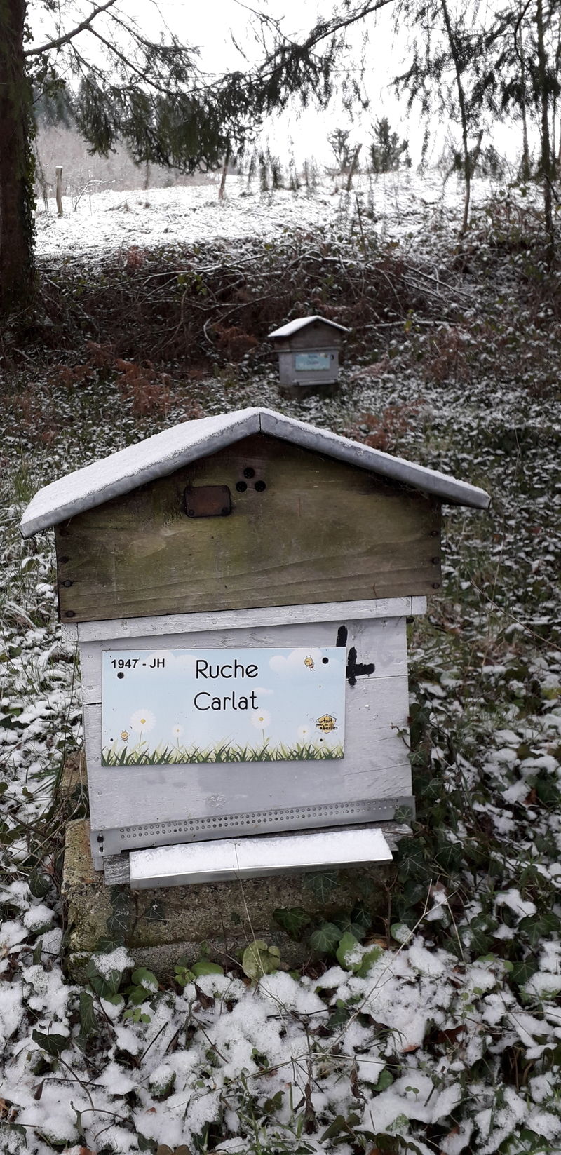 La ruche Carllat