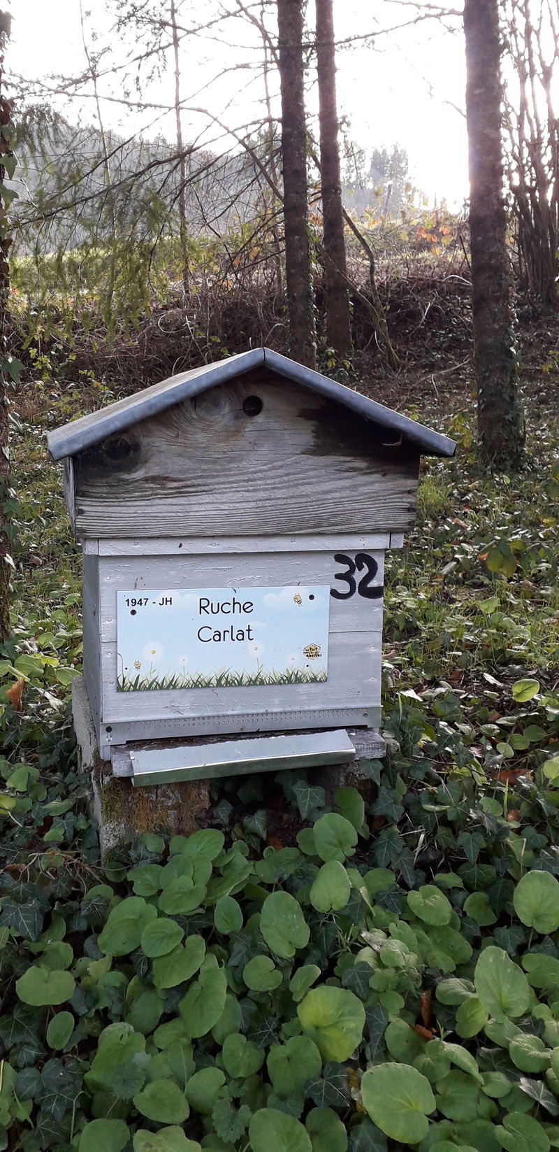 La ruche Carllat
