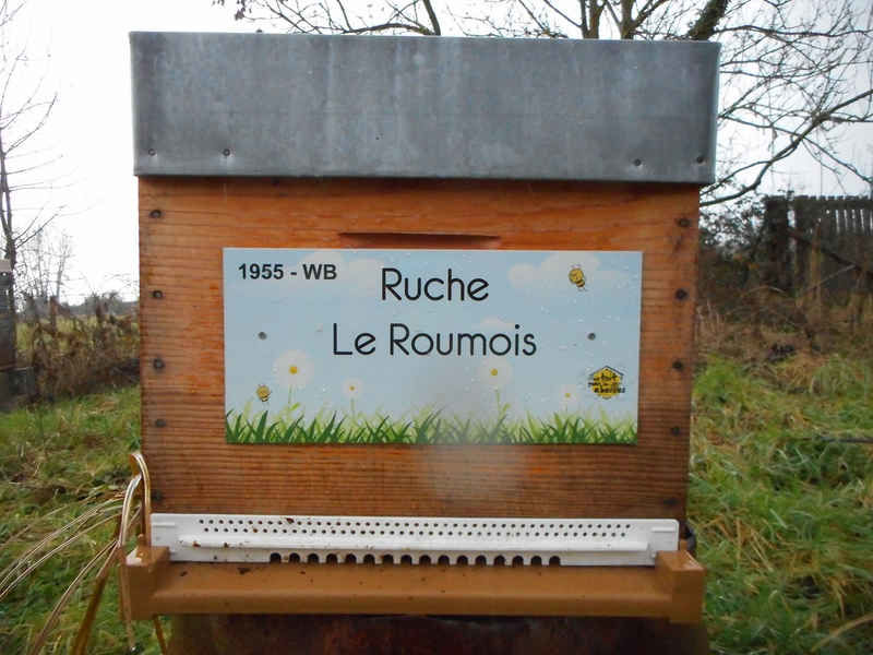 La ruche