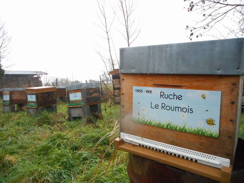 La ruche Le Roumois