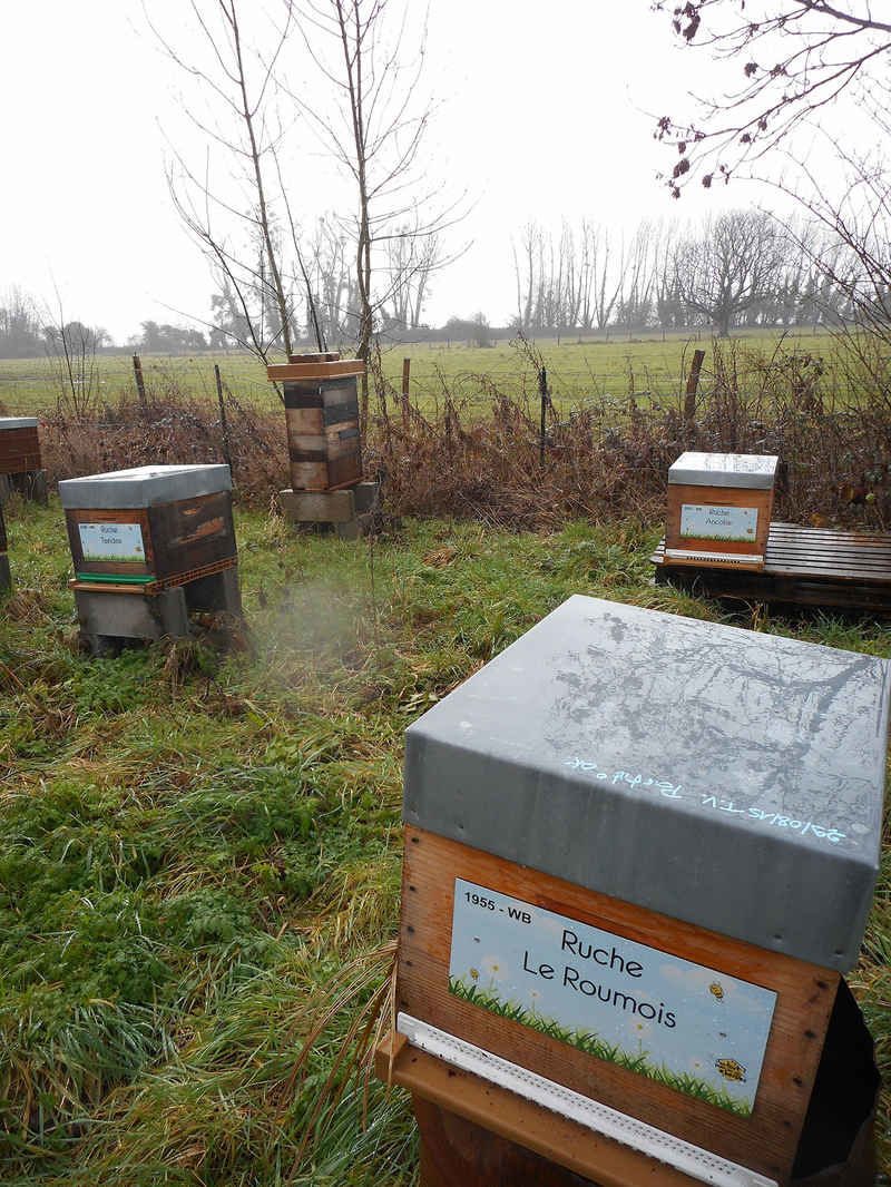 La ruche Le Roumois