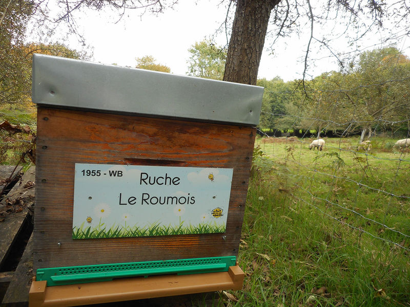 La ruche Le Roumois