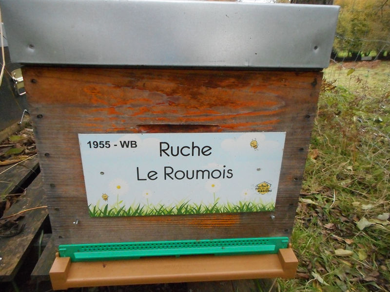 La ruche Le Roumois