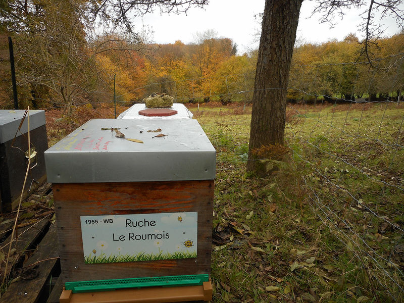 La ruche Le Roumois