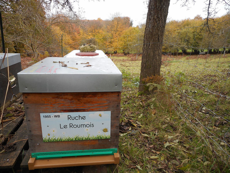 La ruche Le Roumois