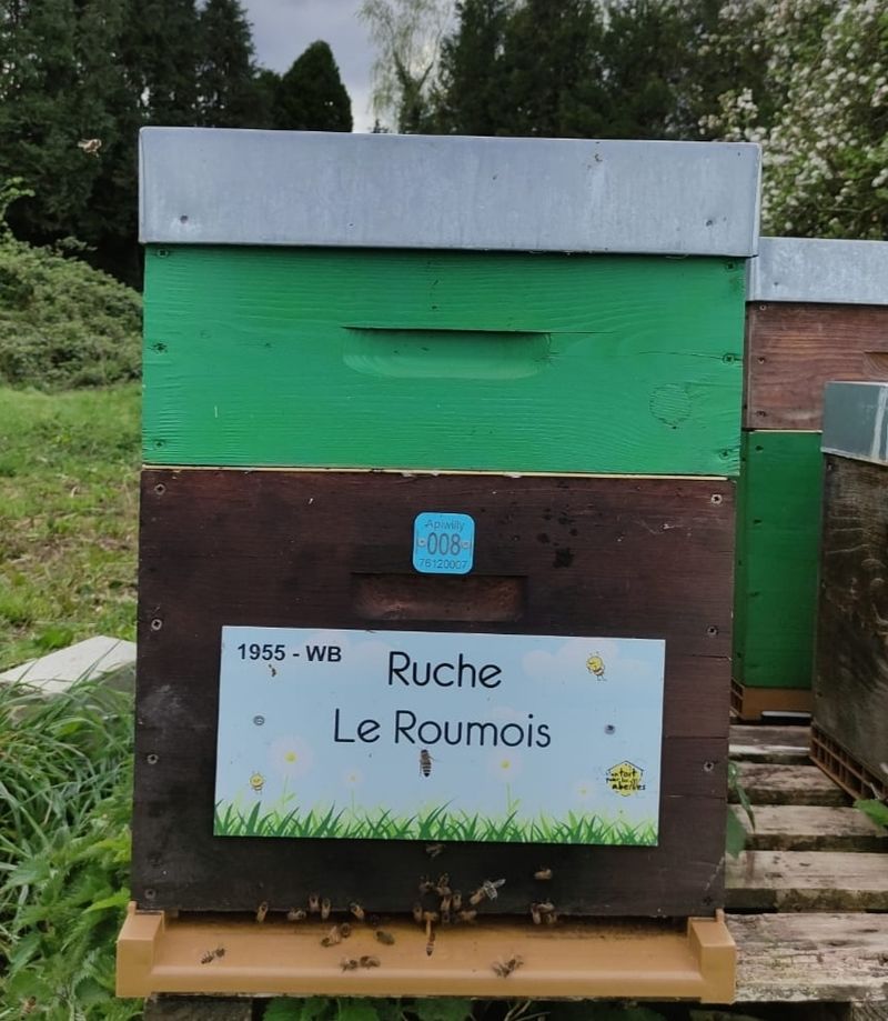 La ruche Le Roumois