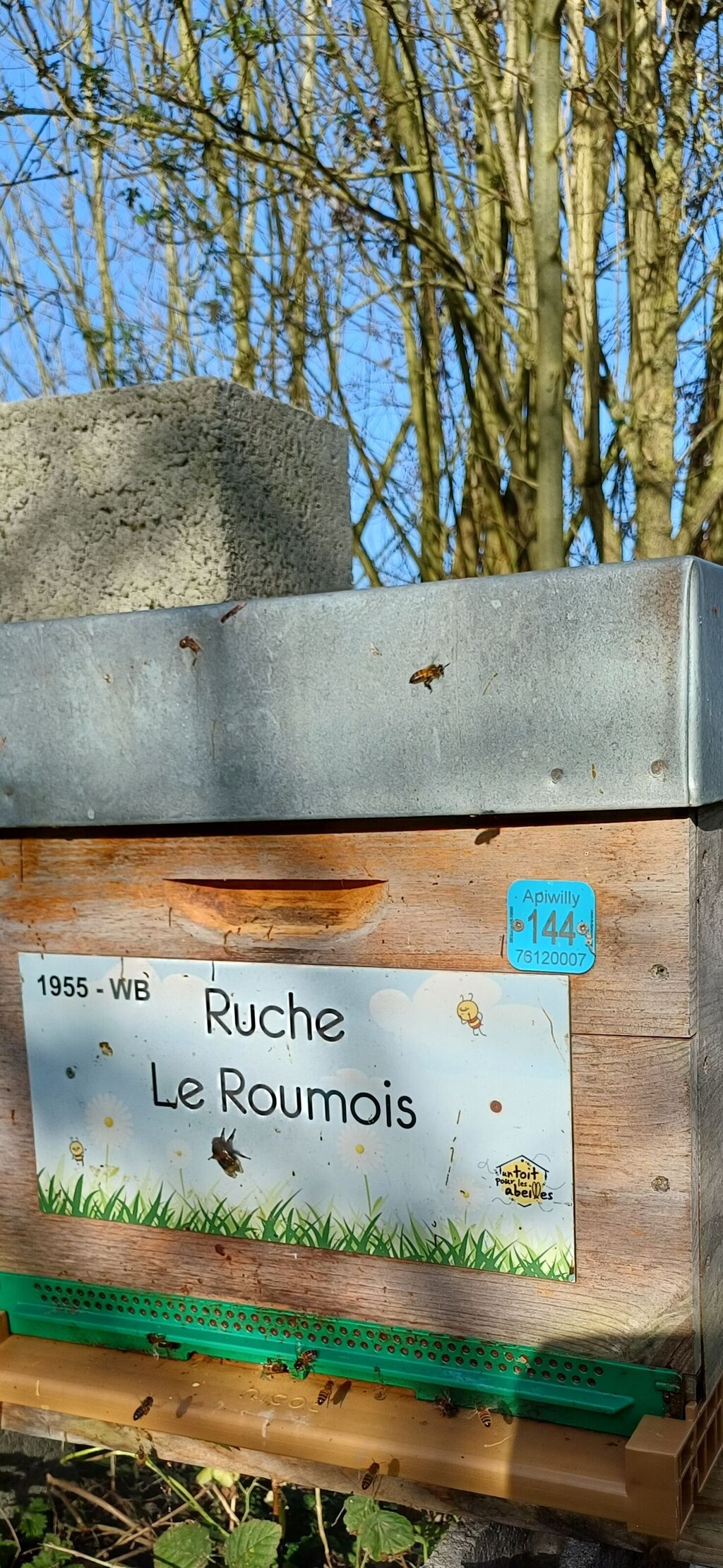 La ruche Le Roumois