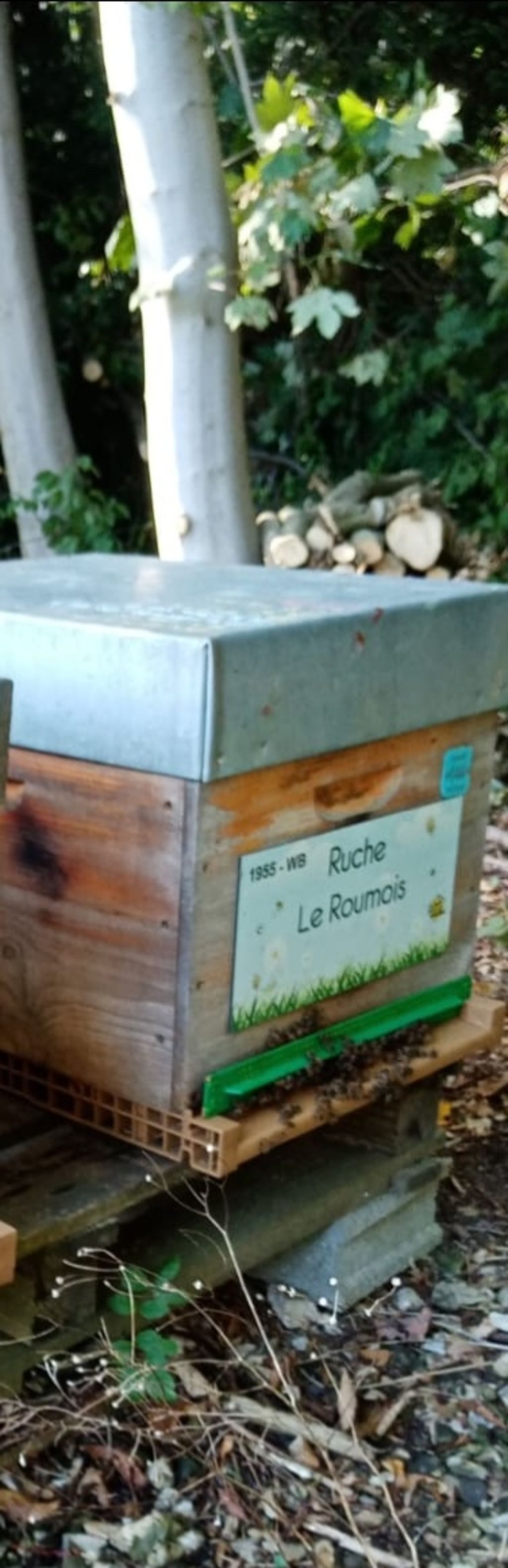 La ruche Le Roumois